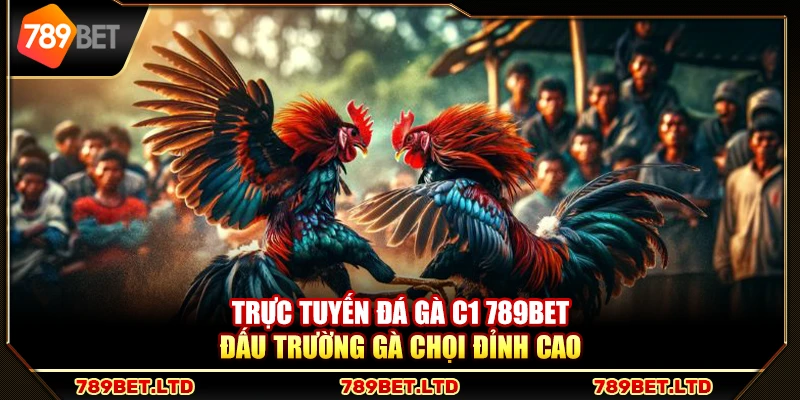 Trực tuyến đá gà C1 789Bet – Đấu trường gà chọi đỉnh cao