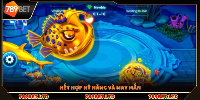 Sự kết hợp hài hòa giữa chiến thuật và vận may