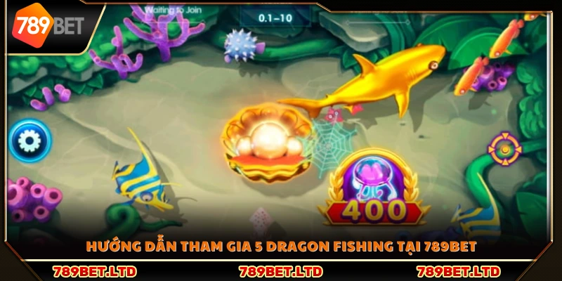 Cách chơi và tham gia 5 Dragon Fishing tại 789Bet