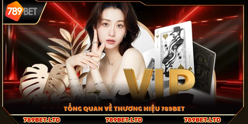 Giới thiệu 789Bet - Đôi nét về nền tảng 