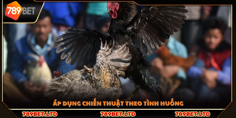 Vận dụng chiến lược phù hợp tùy từng trận đấu