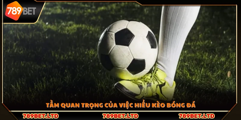 Vì sao cần nắm rõ kèo bóng đá trước khi đặt cược?