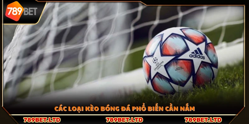 Những cách đọc kèo bóng đá thường gặp