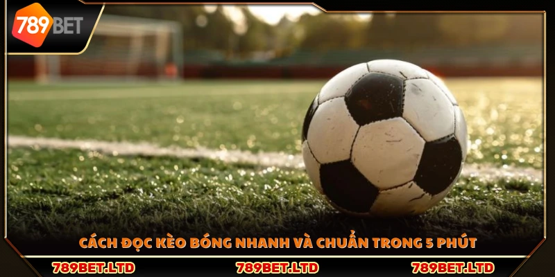 Hướng dẫn cách đọc kèo bóng đá chính xác chỉ trong 5 phút