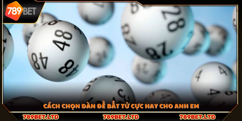 Hướng dẫn cách lựa chọn dàn đề bất tử hiệu quả