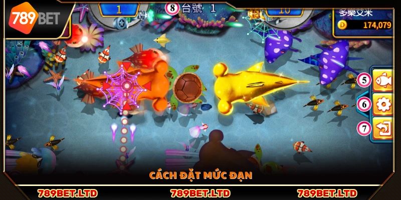 Lựa chọn mức đạn phù hợp khi bắn cá