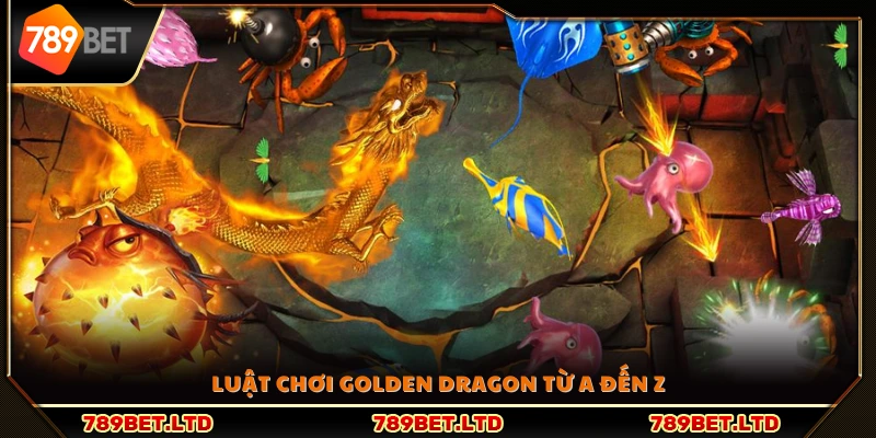 Bí quyết chơi Golden Dragon giúp nâng cao cơ hội thắng 