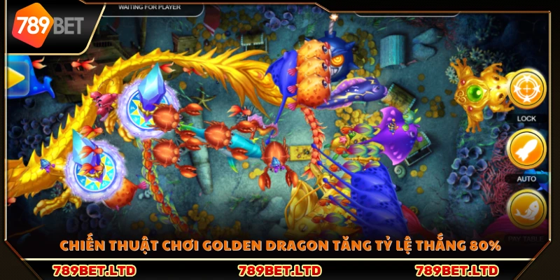 Chiến thuật chơi Golden Dragon tăng tỷ lệ thắng 80%