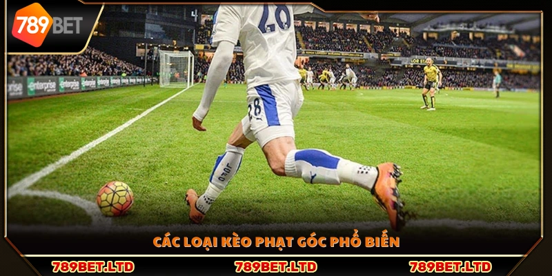 Các loại kèo phạt góc mà người chơi cần nắm rõ