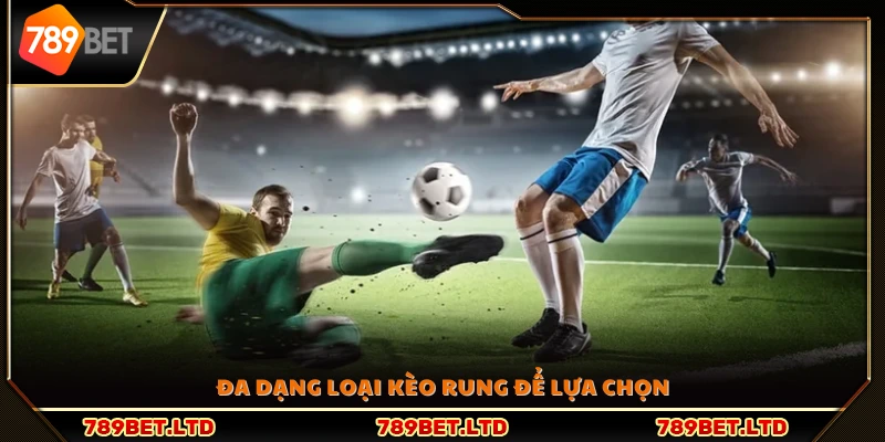 Nhiều hình thức để người chơi lựa chọn