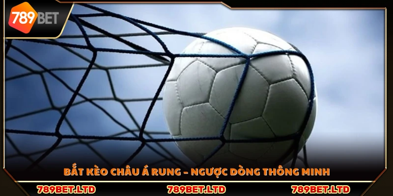 Cách bắt kèo rung châu Á hiệu quả để lội ngược dòng