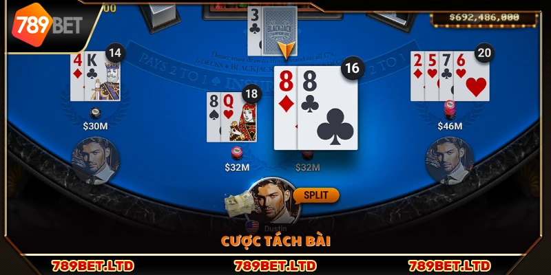 Hình thức cược tách lá