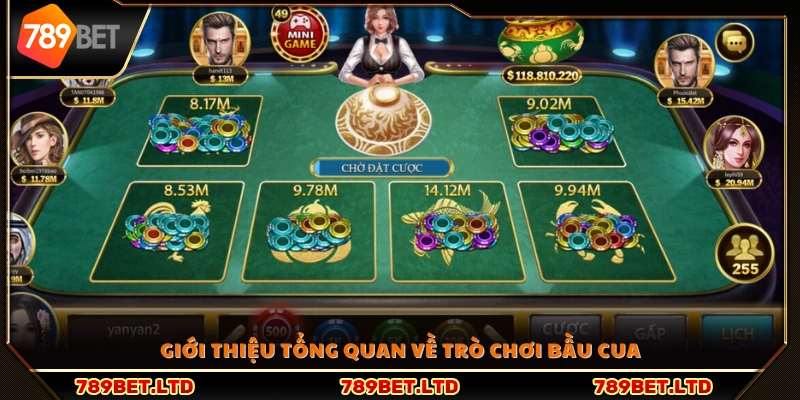 Tổng quan cơ bản về game bầu cua