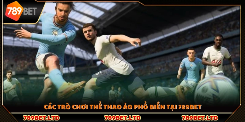 Những môn thể thao ảo được yêu thích nhất