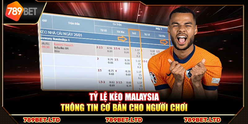 Tỷ lệ kèo Malaysia – Thông tin cơ bản cho người chơi