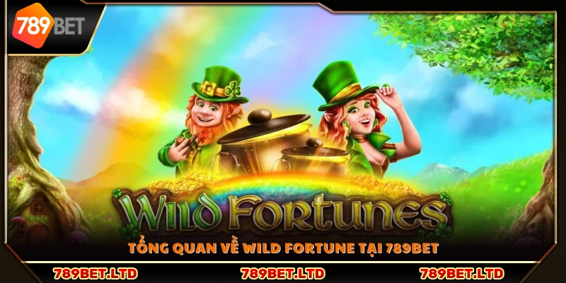 Sơ lược về slot game Wild Fortune tại 789Bet