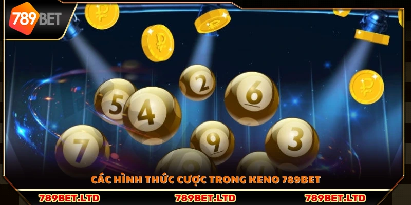 Những loại hình đặt cược phổ biến